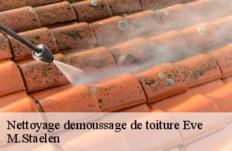 Nettoyage demoussage de toiture  eve-60330 M.Staelen