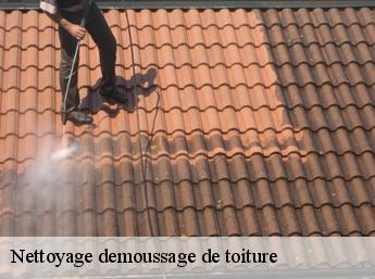 Nettoyage demoussage de toiture  60330