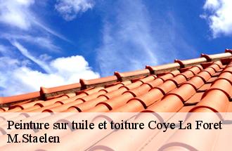 Peinture sur tuile et toiture  coye-la-foret-60580 M.Staelen