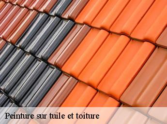 Peinture sur tuile et toiture  60580