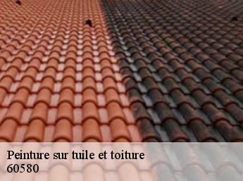 Peinture sur tuile et toiture  60580