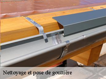 Nettoyage et pose de gouttière  60150