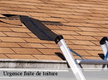 Urgence fuite de toiture  60150