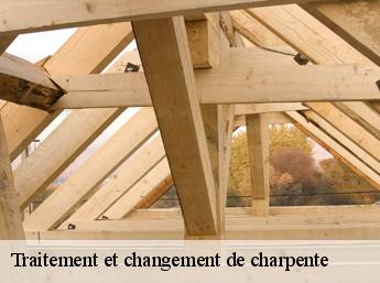 Traitement et changement de charpente  60300